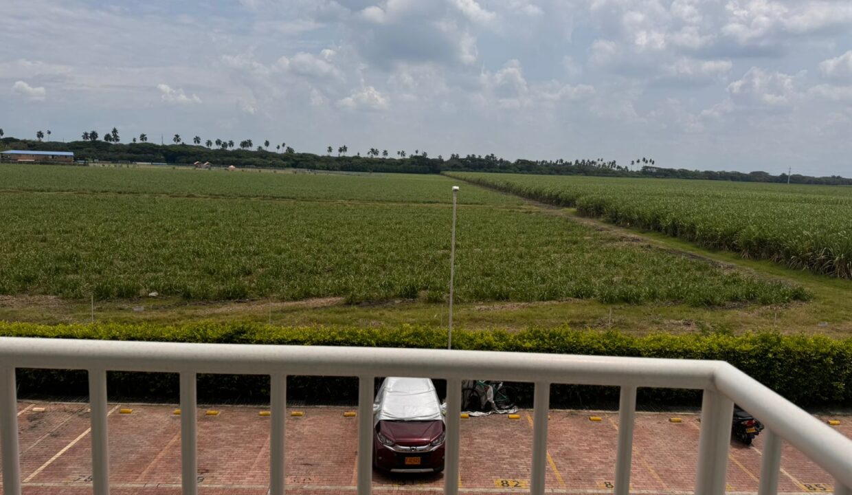 WhatsApp Image 2026-03-25 at 4.49.27 PM